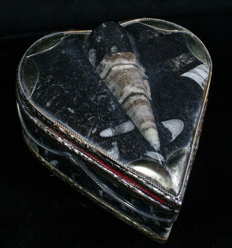 Heart Shaped Fossil Orthoceras Jewelry Box #4879